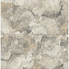 Dutch Wallcoverings FC Arber- Aria Soft Grey  - DL26731