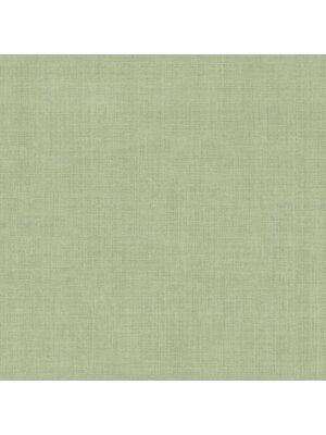 Dutch Wallcoverings FC Midolin- Varlöv Green - 16038 Dutch Wallcoverings FC Midolin- Varlöv Green - 16038