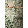 Dutch Wallcoverings FC Lina- Hybbe Light green - 55023