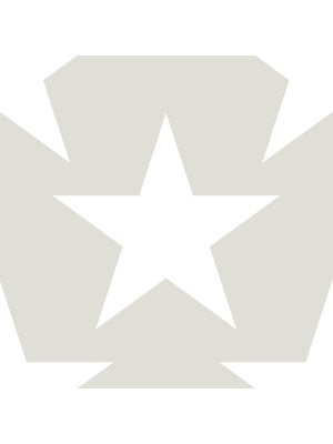 Dutch Wallcoverings FC Joy- sterren grijs/wit - 72123