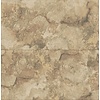 Dutch Wallcoverings FC Arber- Aria Old Gold  - DL26733