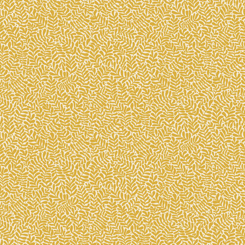 10,05m x 53cm 10,05m x 53cm