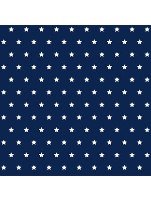 Dutch Wallcoverings FC Joy- sterren blauw/wit - 72132