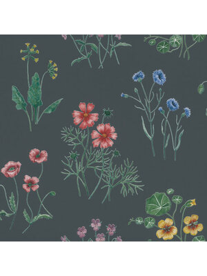 Dutch Wallcoverings FC Morgongava- Maj Blue - 27024