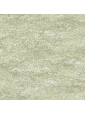 Dutch Wallcoverings FC Sahara- Atlas Sage - 66071