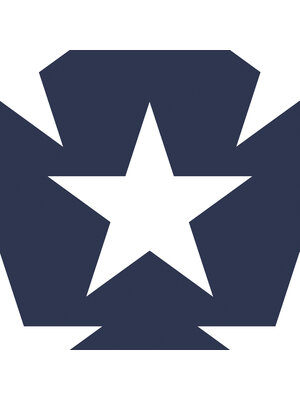 Dutch Wallcoverings FC Joy- sterren marineblauw/wit - 72126