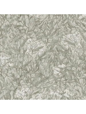 Sandberg Kolonin 225-28