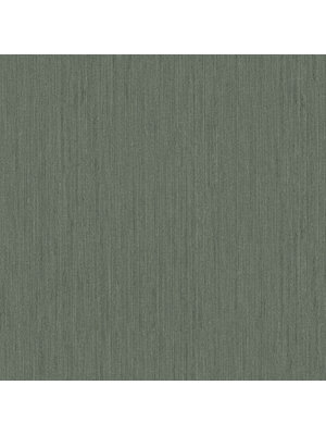 FC Hidden Tr2-Mossa Dark green - 17224