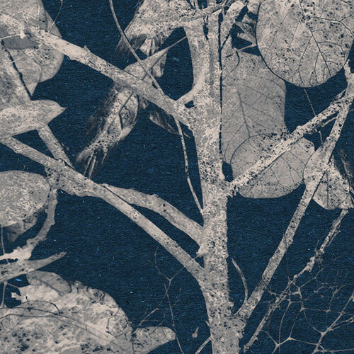 1,25m x 1,25m