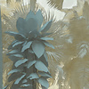 Komar Dots; Komar Home Behangcirkel Exotic Jungle - D1-047
