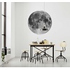 Komar Dots; Komar Home Behangcirkel Moon - D1-019