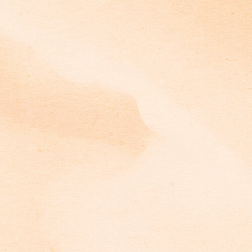 2,5m x 4m 2,5m x 4m