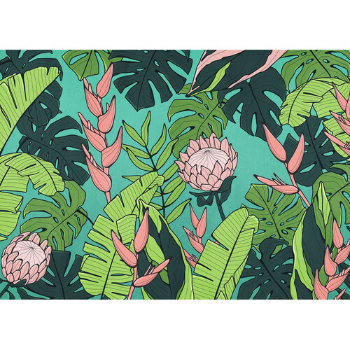 2,5m x 3,5m