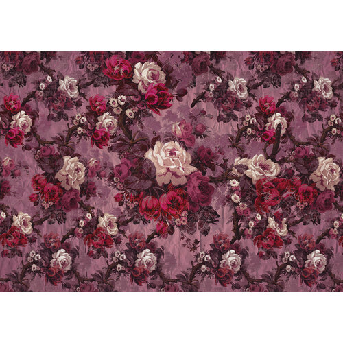 2,8m x 4m