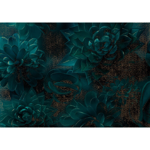 2,8m x 4m