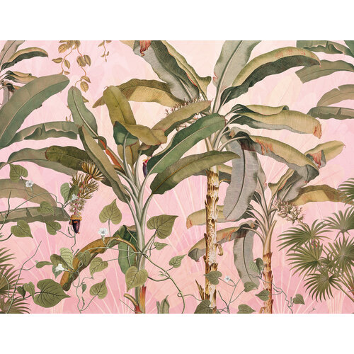 2,7m x 3,5m