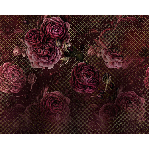 2,8m x 3,5m