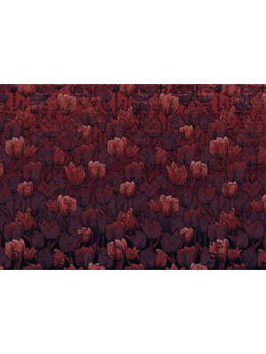 Komar Heritage Fotobehang Tulipe - HX8-051