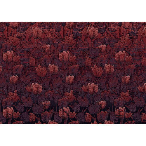 2,8m x 4m