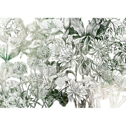 2,5m x 3,5m