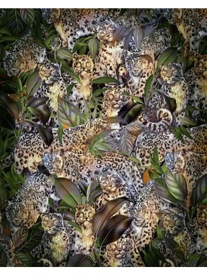 Komar Home Fotobehang Wild Cats - X4-1046