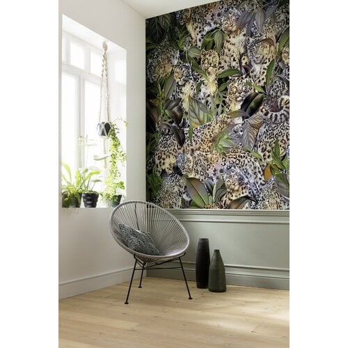 2,5m x 2m