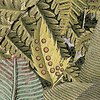 Komar Home; Komar Colours Fotobehang Amazonia - Xxl4-063