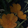 Komar Home; Komar Colours Fotobehang Amsterdam Flowers - X7-1044