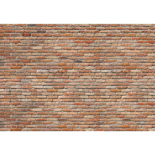 2,54m x 3,68m
