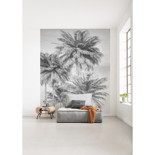 2,5m x 2m