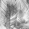 Komar Home; Komar Colours Fotobehang Cocco - X4-1019