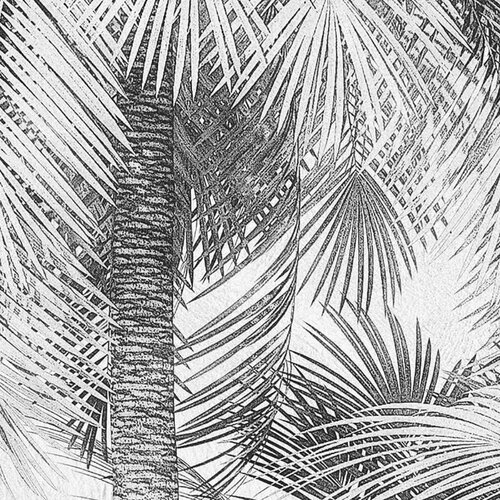 2,5m x 2m