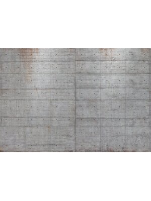 Komar Home; Komar Colours Fotobehang Concrete Blocks - 8-938