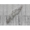 Komar Home; Komar Colours Fotobehang Concrete Feather - X7-1023