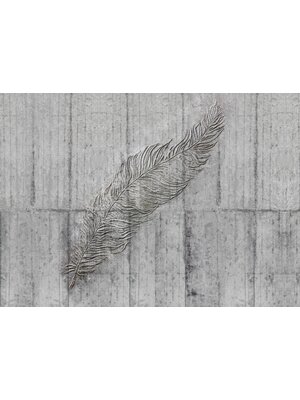 Komar Home; Komar Colours Fotobehang Concrete Feather - X7-1023 Komar Home; Komar Colours Fotobehang Concrete Feather - X7-1023