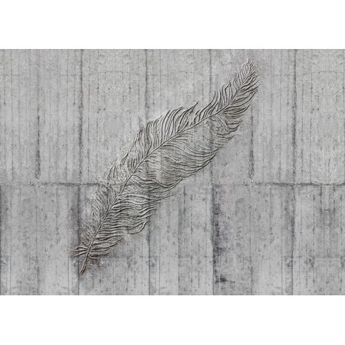 2,5m x 3,5m