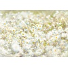 Komar Home; Komar Colours Fotobehang Daisies - 8-994