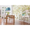 Komar Home; Komar Colours Fotobehang Daisies - 8-994