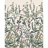 Komar Home; Komar Colours Fotobehang Flowering Herbs - X4-1011