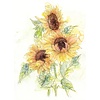 Komar Home; Komar Colours Fotobehang Girasol - X4-1008