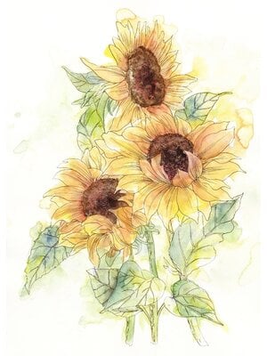 Komar Home; Komar Colours Fotobehang Girasol - X4-1008