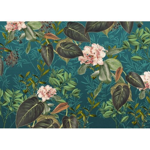 2,5m x 3,5m