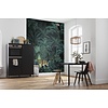 Komar Home; Komar Colours Fotobehang Jungle Night - X4-1027