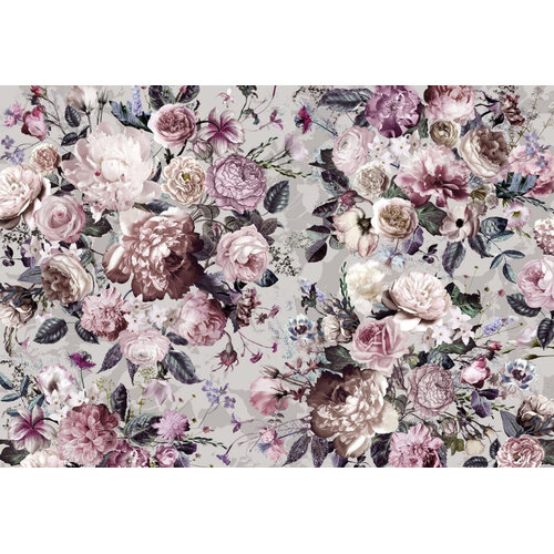2,5m x 3,5m