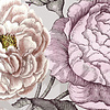 Komar Home; Komar Colours Fotobehang Lovely Blossoms - X7-1017