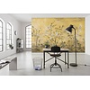 Komar Home; Komar Colours Fotobehang Mandarin - XXL4-1029