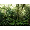 Komar Home; Komar Colours Fotobehang Mindfulness - X7-1009 Komar Home; Komar Colours Fotobehang Mindfulness - X7-1009