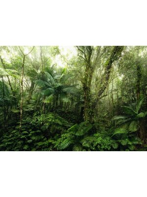 Komar Home; Komar Colours Fotobehang Mindfulness - X7-1009