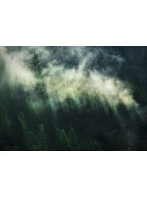 Komar Home; Komar Colours Fotobehang Misty Crowns - X7-1003