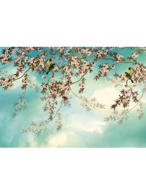 Komar Home; Komar Colours Fotobehang Sakura - 8-213 Komar Home; Komar Colours Fotobehang Sakura - 8-213
